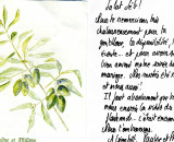 PAULINE ET PHILIPPE PAULINE ET PHILIPPE