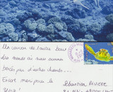 MARIE ET NICO MARIE ET NICO